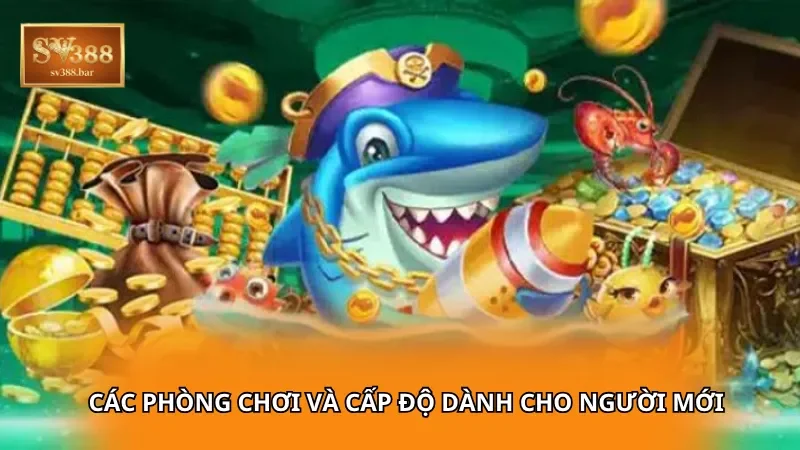 Các phòng chơi và cấp độ dành cho người mới