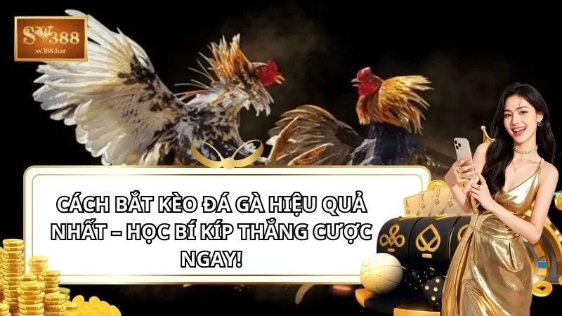 Cách bắt kèo đá gà