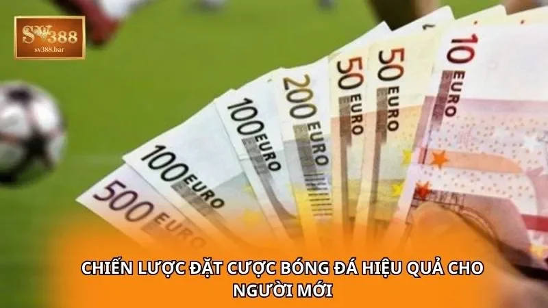 Chiến lược đặt cược bóng đá hiệu quả cho người mới