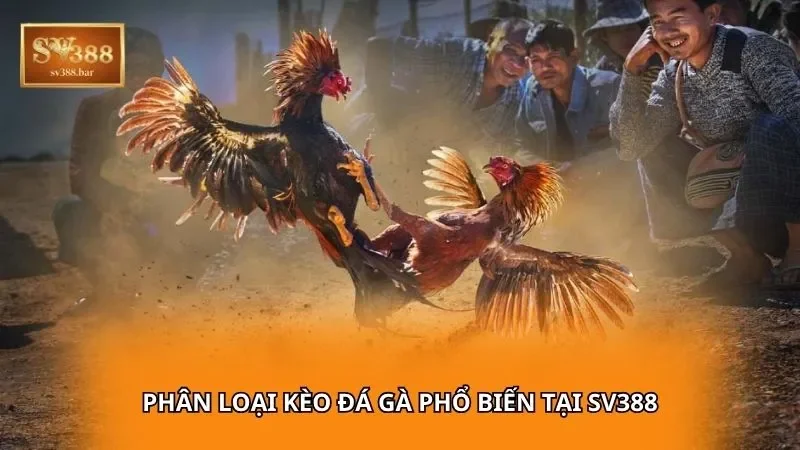 Phân loại kèo đá gà phổ biến tại SV388