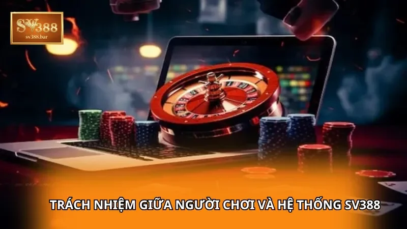 Điều kiện và điều khoản